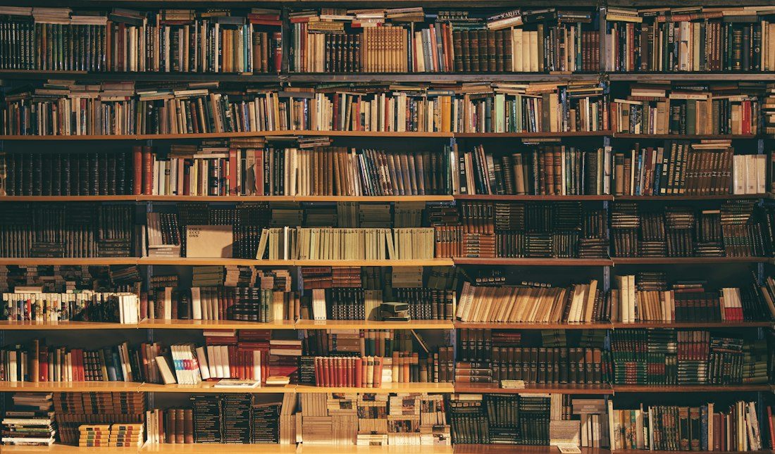Bookshelves in a library, an illustrative image for a reading guide